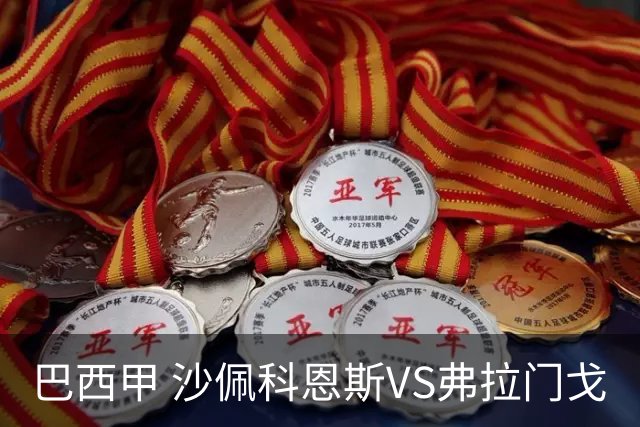 巴西甲 沙佩科恩斯VS弗拉门戈